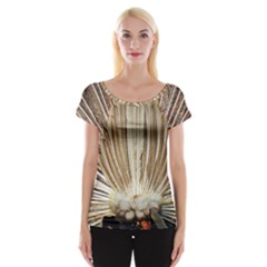 Peacock Wheel Bird Nature Cap Sleeve Top by Wegoenart