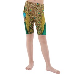 Peacock Feather Bird Peafowl Kids  Mid Length Swim Shorts