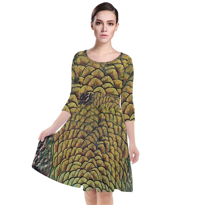 Peacock Bird Feather Color Quarter Sleeve Waist Band Dress