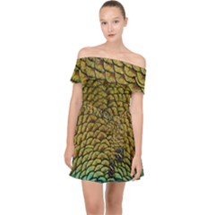 Peacock Bird Feather Color Off Shoulder Chiffon Dress