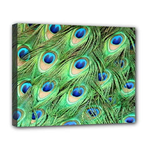 Peacock Feathers Peafowl Deluxe Canvas 20  X 16  (stretched) by Wegoenart