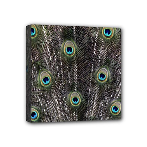 Background Peacock Feathers Mini Canvas 4  X 4  (stretched) by Wegoenart