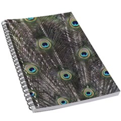 Background Peacock Feathers 5 5  X 8 5  Notebook New by Wegoenart