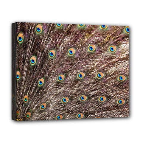 Peacock Feathers Wheel Plumage Deluxe Canvas 20  X 16  (stretched) by Wegoenart