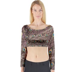 Peacock Feathers Wheel Plumage Long Sleeve Crop Top by Wegoenart