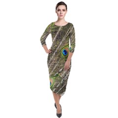 Peacock Feathers Color Plumag Quarter Sleeve Midi Velour Bodycon Dress by Wegoenart