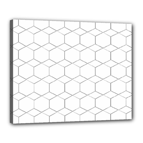 Honeycomb pattern black and white Canvas 20  x 16  (Stretched)