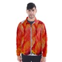 Red tulip and black stripes Windbreaker (Men) View1