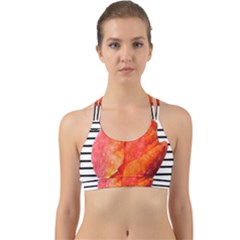 Red Tulip And Black Stripes Back Web Sports Bra by picsaspassion