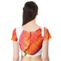 Red Tulip, watercolor art Short Sleeve Crop Top View2