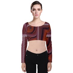 Petals Pattern Design Texture Velvet Long Sleeve Crop Top by Wegoenart