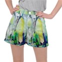 Art Abstract Modern Abstract Stretch Ripstop Shorts View1