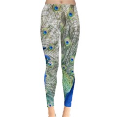 Peacock Bird Colorful Plumage Leggings  by Wegoenart