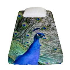 Peacock Bird Colorful Plumage Fitted Sheet (single Size)