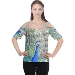 Peacock Bird Colorful Plumage Cutout Shoulder Tee