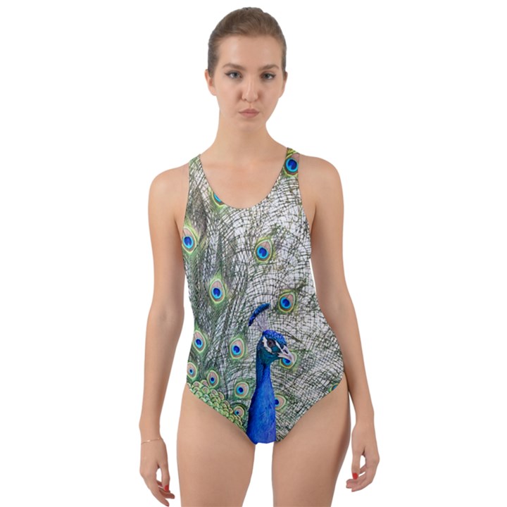 Peacock Bird Colorful Plumage Cut-Out Back One Piece Swimsuit