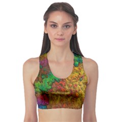 Background Color Template Abstrac Sports Bra by Wegoenart