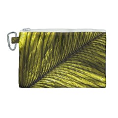 Feather Macro Bird Plumage Nature Canvas Cosmetic Bag (large) by Wegoenart