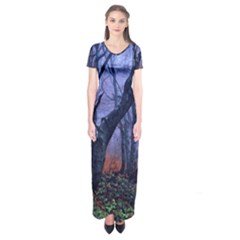 Beeches Autumn Foliage Forest Tree Short Sleeve Maxi Dress by Wegoenart