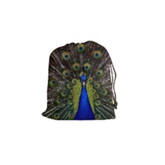 Peacock Bird Plumage Display Full Drawstring Pouch (small) by Wegoenart