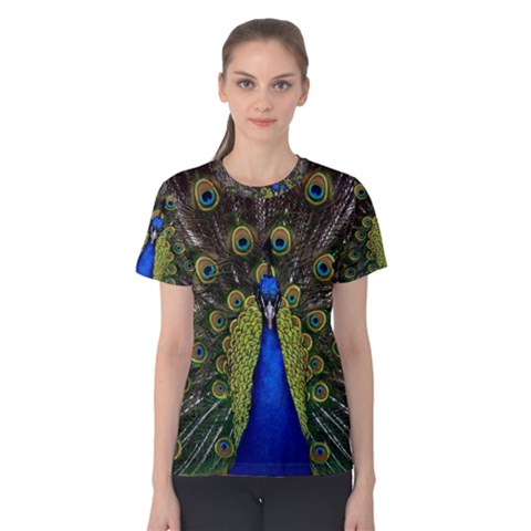 Peacock Bird Plumage Display Full Women s Cotton Tee by Wegoenart