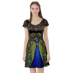 Peacock Bird Plumage Display Full Short Sleeve Skater Dress by Wegoenart