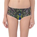 Peacock Bird Plumage Display Full Mid-Waist Bikini Bottoms View1