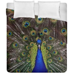 Peacock Bird Plumage Display Full Duvet Cover Double Side (california King Size) by Wegoenart