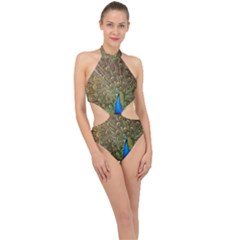 Peacock Plumage Bird Peafowl Halter Side Cut Swimsuit by Wegoenart