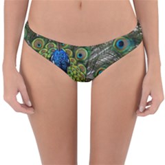 Peacock Close Up Plumage Bird Head Reversible Hipster Bikini Bottoms by Wegoenart