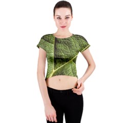 Green Leaf Giant Rhubarb Mammoth Sheet Crew Neck Crop Top by Wegoenart