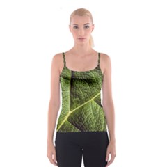 Green Leaf Giant Rhubarb Mammoth Sheet Spaghetti Strap Top