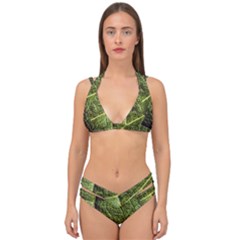 Green Leaf Giant Rhubarb Mammoth Sheet Double Strap Halter Bikini Set by Wegoenart