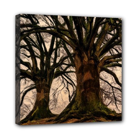 Ent Treant Trees Tree Bark Barks Mini Canvas 8  x 8  (Stretched)