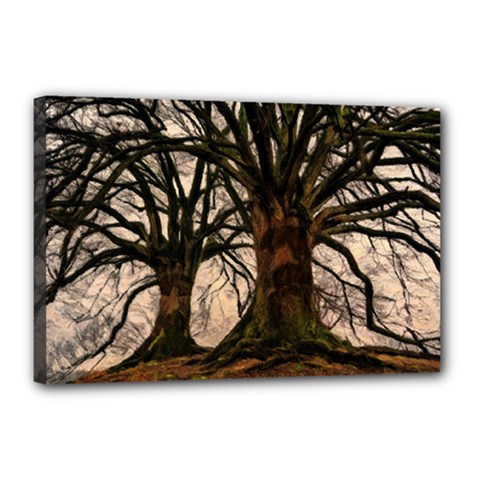 Ent Treant Trees Tree Bark Barks Canvas 18  x 12  (Stretched)