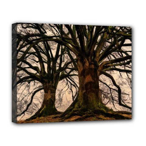 Ent Treant Trees Tree Bark Barks Deluxe Canvas 20  x 16  (Stretched)