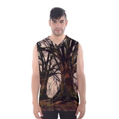 Ent Treant Trees Tree Bark Barks Men s Basketball Tank Top