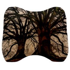 Ent Treant Trees Tree Bark Barks Velour Head Support Cushion