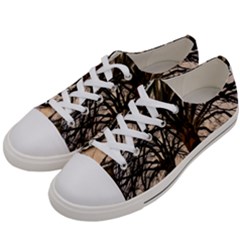 Ent Treant Trees Tree Bark Barks Women s Low Top Canvas Sneakers