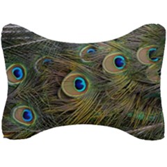 Peacock Tail Feathers Close Up Seat Head Rest Cushion by Pakrebo