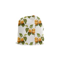 Apricot Fruit Vintage Art Drawstring Pouch (small)