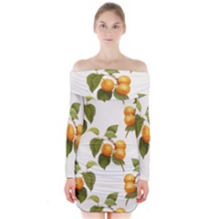 Apricot Fruit Vintage Art Long Sleeve Off Shoulder Dress by Pakrebo