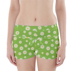 Daisy Flowers Floral Wallpaper Boyleg Bikini Wrap Bottoms by Pakrebo