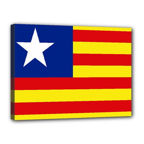 Flag Of Estado Aragonés Canvas 16  X 12  (stretched) by abbeyz71