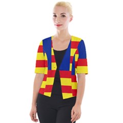 Flag Of Estado Aragonés Cropped Button Cardigan by abbeyz71