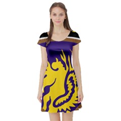 Shoulder Sleeve Insignia Of The United States Army 13th Airborne Division Short Sleeve Skater Dress by abbeyz71