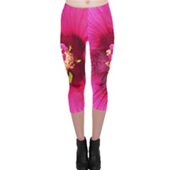 Deep Pink And Crimson Hibiscus Flower Macro Capri Leggings  by myrubiogarden