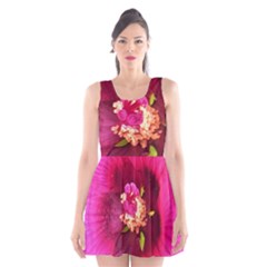 Deep Pink And Crimson Hibiscus Flower Macro Scoop Neck Skater Dress by myrubiogarden