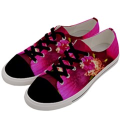 Deep Pink And Crimson Hibiscus Flower Macro Men s Low Top Canvas Sneakers by myrubiogarden