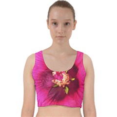 Deep Pink And Crimson Hibiscus Flower Macro Velvet Racer Back Crop Top